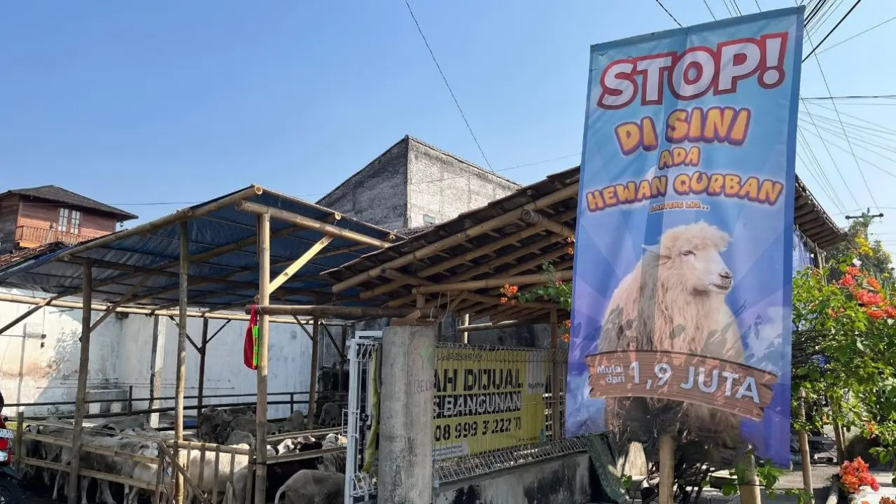 Lokasi Kandang Barokah Qurban Jogja